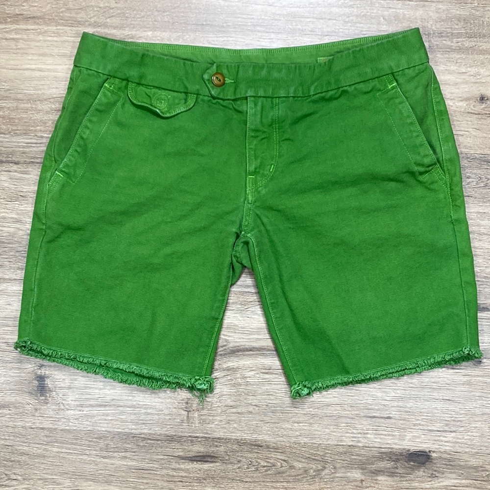 Citizens of Humanity Shorts